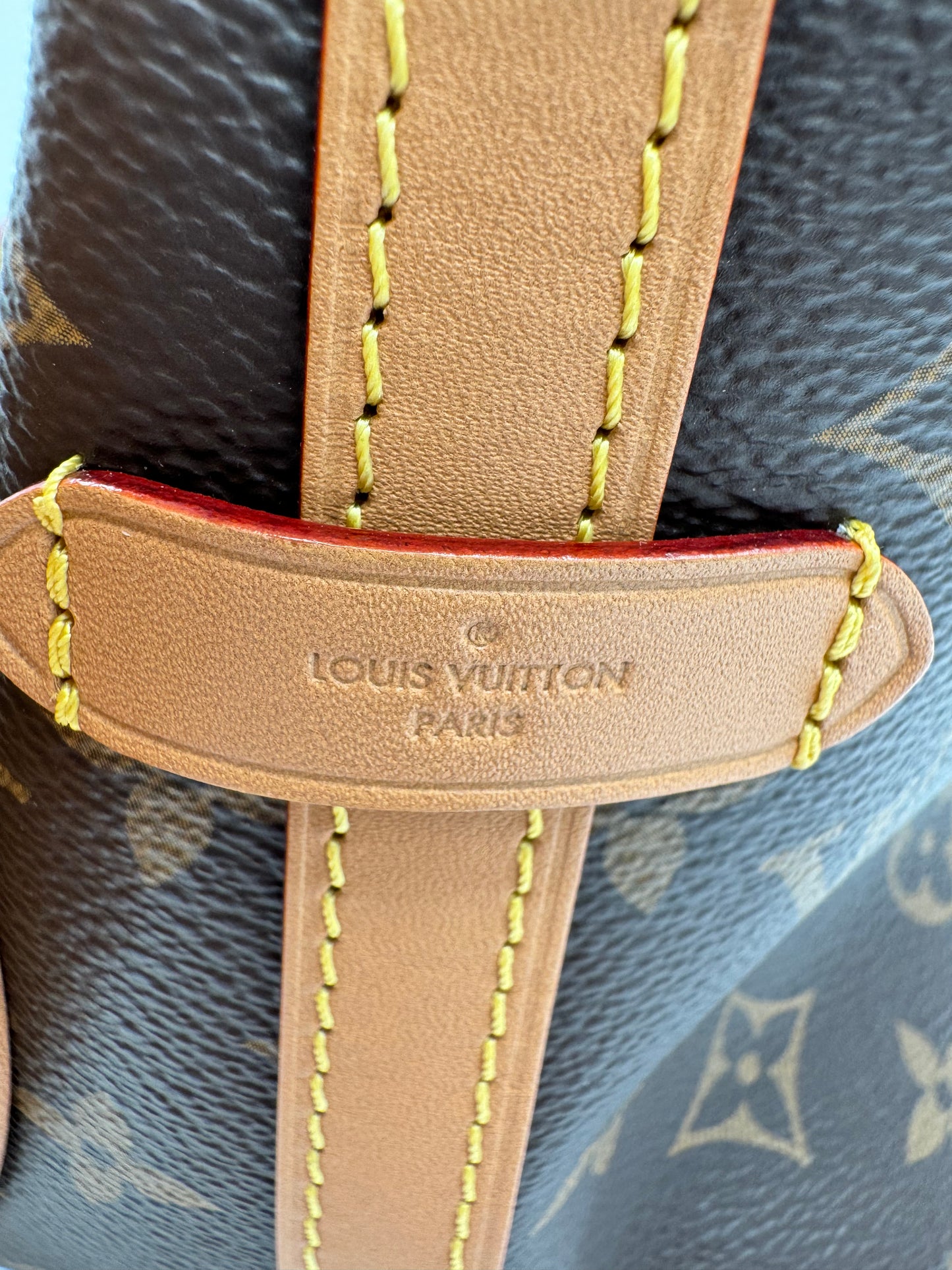 LOUIS VUITTON CARRYALL PM MONOGRAM CANVAS