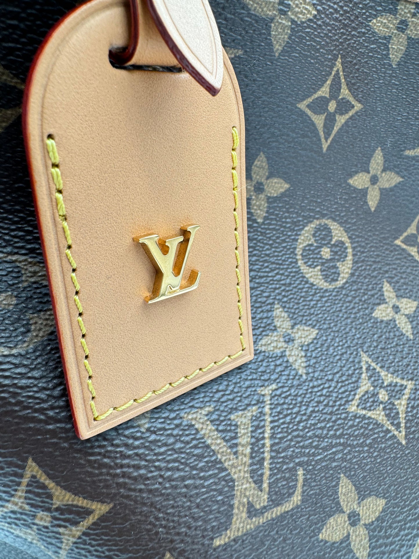 LOUIS VUITTON CARRYALL PM MONOGRAM CANVAS